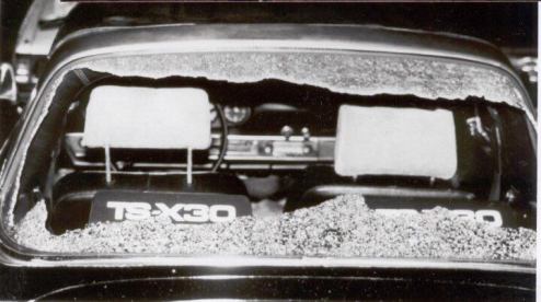 45365624_355374858350647_4322627198918852608_n